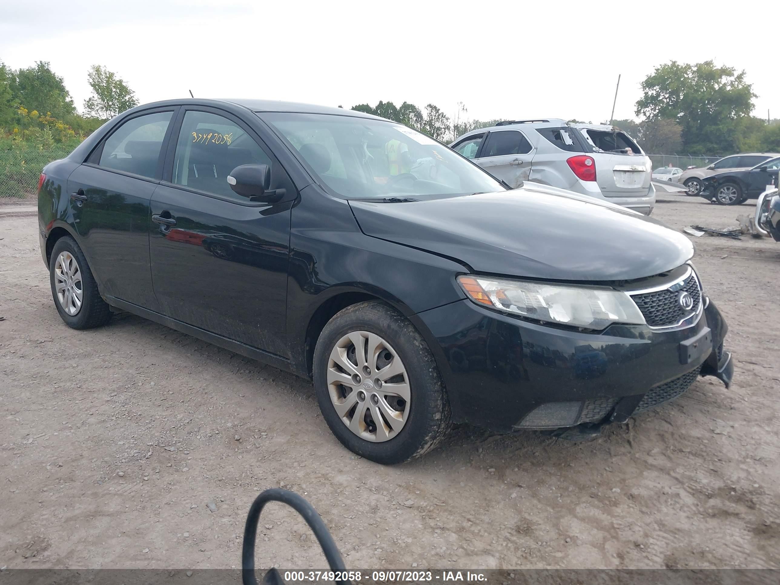 KIA FORTE 2010 knafu4a27a5188880