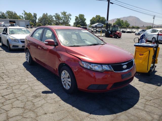 KIA FORTE EX 2010 knafu4a27a5191939