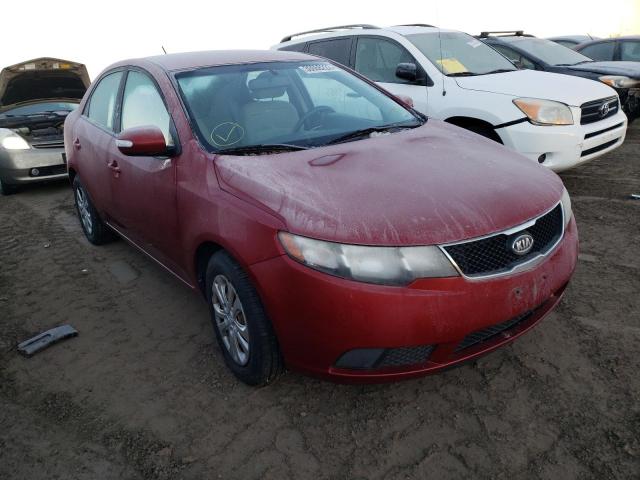 KIA FORTE EX 2010 knafu4a27a5193304