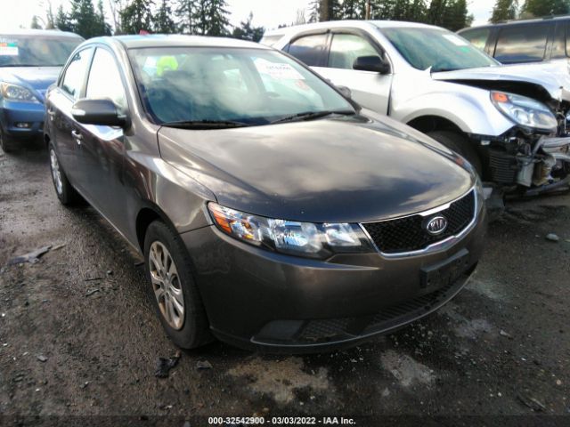 KIA FORTE 2010 knafu4a27a5199863