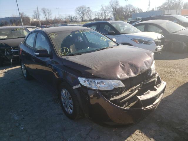 KIA FORTE EX 2010 knafu4a27a5217178