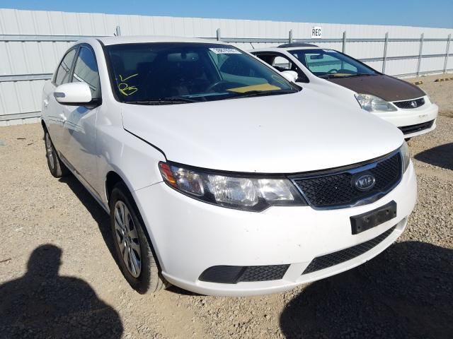 KIA FORTE EX 2010 knafu4a27a5219898