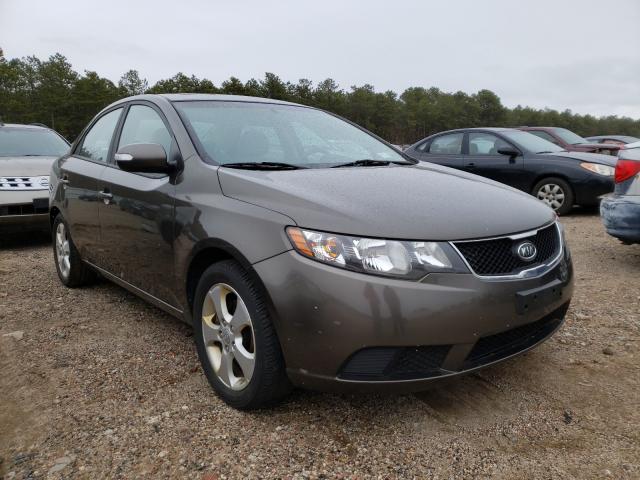 KIA FORTE EX 2010 knafu4a27a5221473