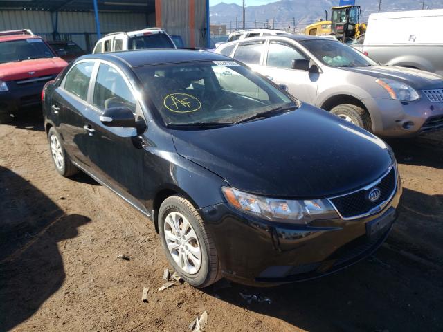 KIA FORTE EX 2010 knafu4a27a5238404