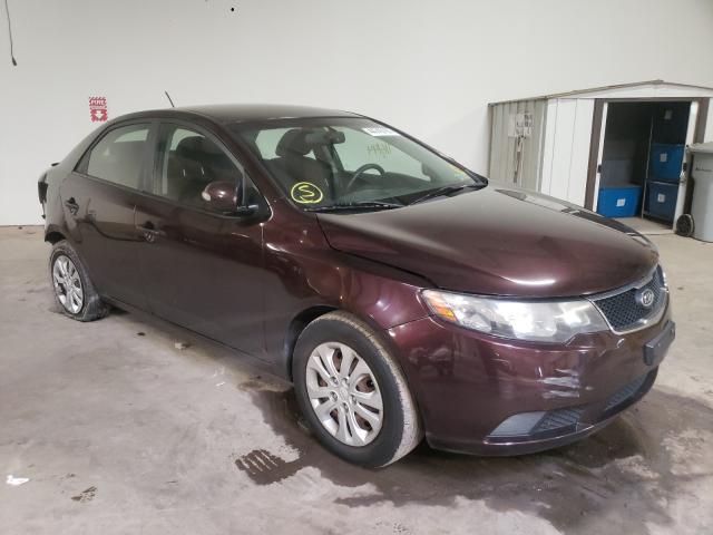 KIA FORTE EX 2010 knafu4a27a5239780