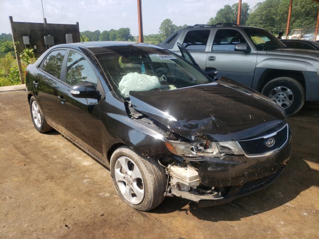 KIA FORTE EX 2010 knafu4a27a5241822