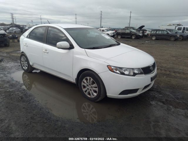 KIA FORTE 2010 knafu4a27a5242596