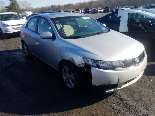 KIA FORTE EX 2010 knafu4a27a5255767