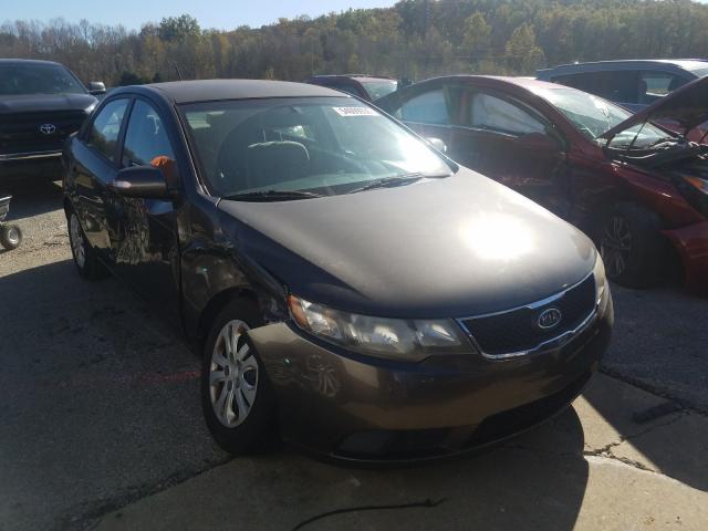 KIA FORTE EX 2010 knafu4a27a5270396