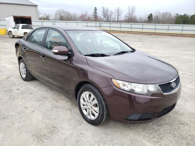 KIA FORTE EX 2010 knafu4a27a5275419