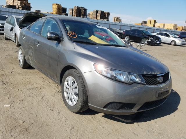 KIA FORTE EX 2010 knafu4a27a5299638