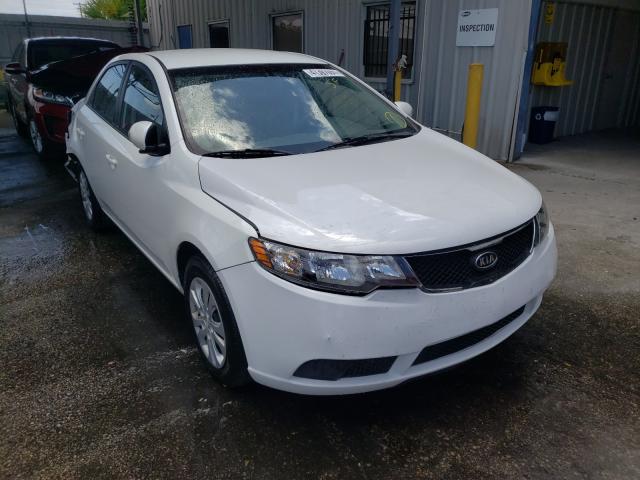 KIA FORTE EX 2010 knafu4a27a5808594