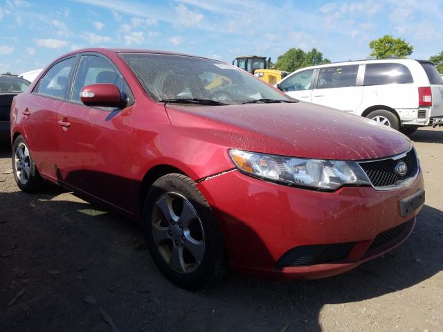 KIA FORTE EX 2010 knafu4a27a5831471