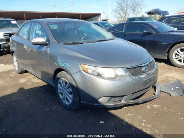 KIA FORTE 2010 knafu4a27a5839229