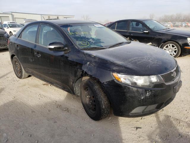 KIA FORTE EX 2010 knafu4a27a5852983