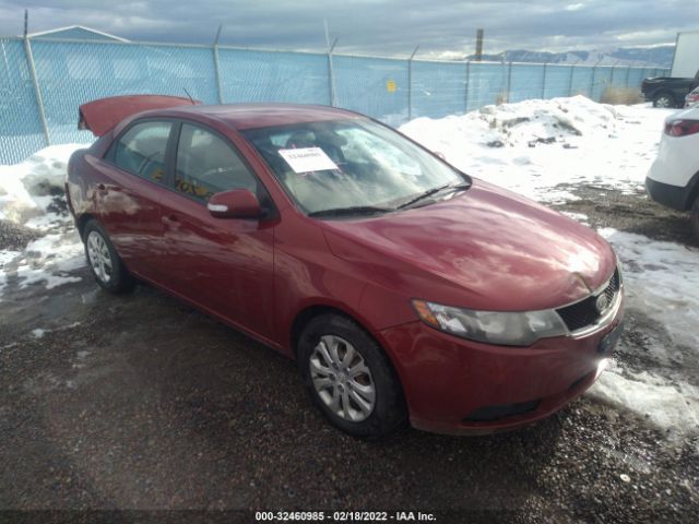 KIA FORTE 2010 knafu4a27a5858993