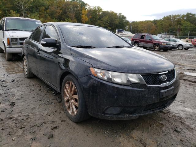 KIA FORTE EX 2010 knafu4a27a5860128