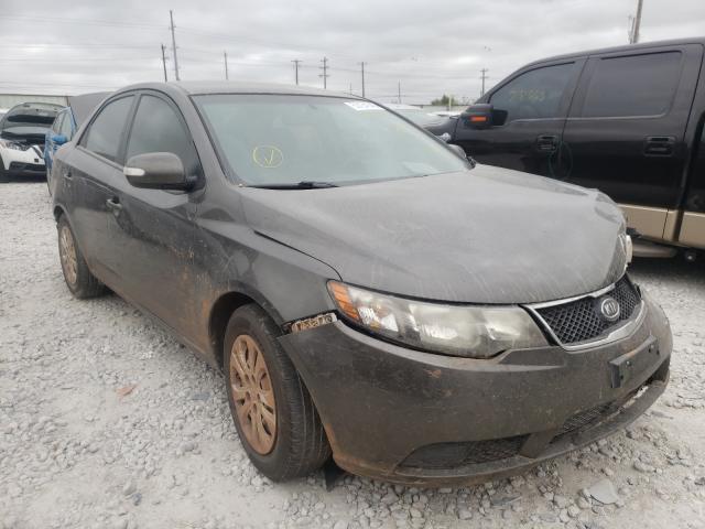 KIA FORTE EX 2010 knafu4a27a5862235