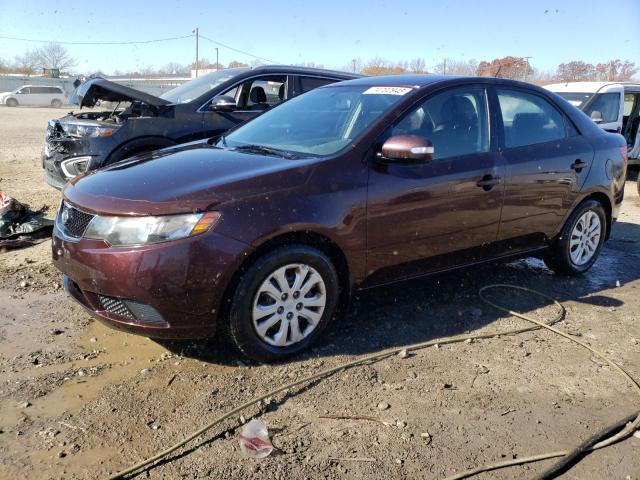 KIA FORTE 2010 knafu4a27a5867578