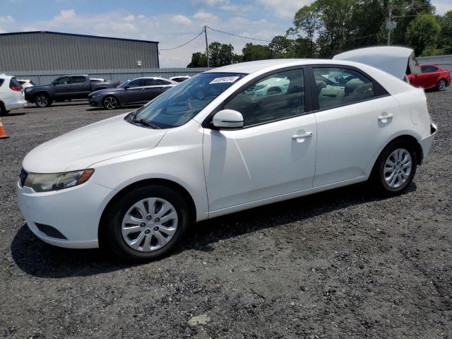 KIA FORTE 2011 knafu4a27b5366045