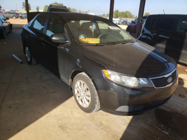 KIA FORTE 2011 knafu4a27b5383394