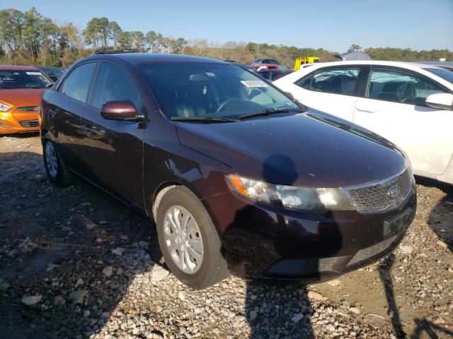 KIA FORTE EX 2011 knafu4a27b5388577