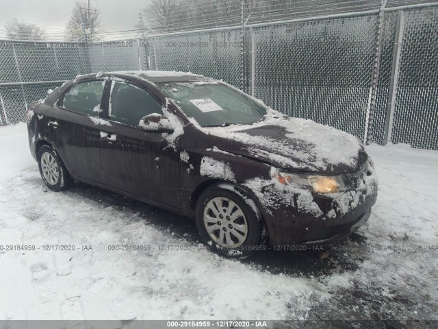 KIA FORTE 2011 knafu4a27b5402820