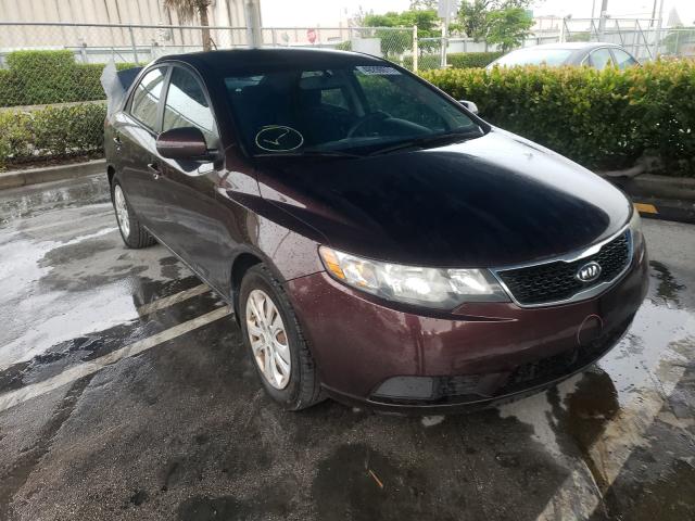 KIA FORTE EX 2011 knafu4a27b5442248