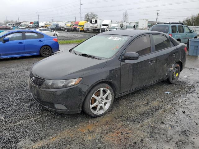 KIA FORTE 2011 knafu4a27b5442492