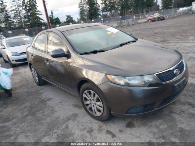 KIA FORTE 2011 knafu4a27b5448213