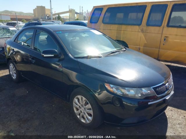 KIA FORTE 2011 knafu4a27b5453525