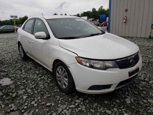 KIA FORTE EX 2011 knafu4a27b5459647