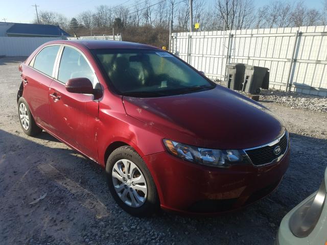 KIA FORTE EX 2011 knafu4a27b5464668