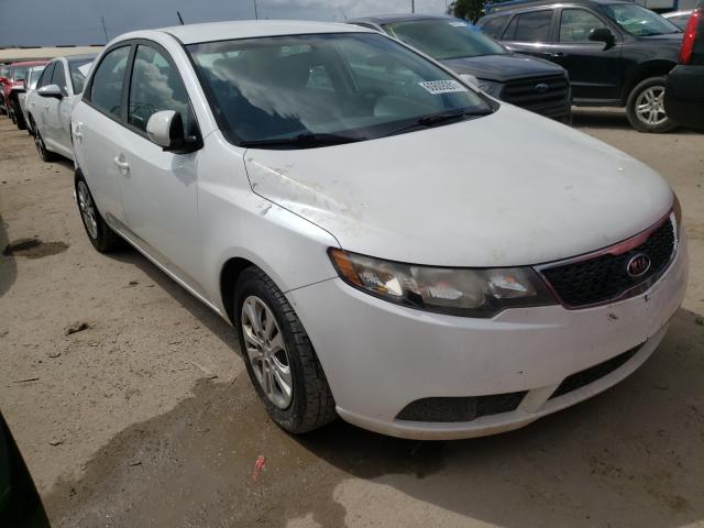 KIA FORTE EX 2011 knafu4a27b5887802