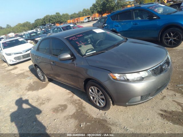 KIA FORTE 2011 knafu4a27b5889629