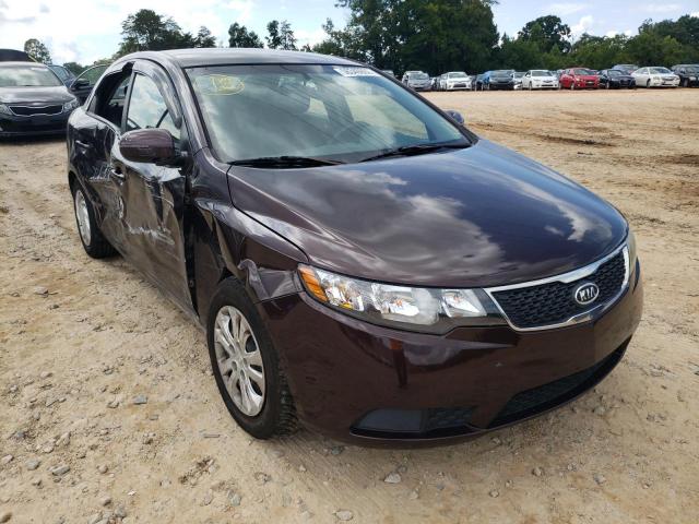 KIA FORTE EX 2011 knafu4a27b5890392