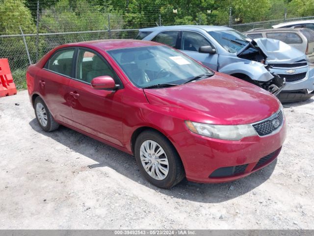 KIA FORTE 2011 knafu4a27b5891820