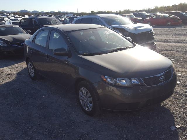 KIA FORTE 2012 knafu4a27c5470150