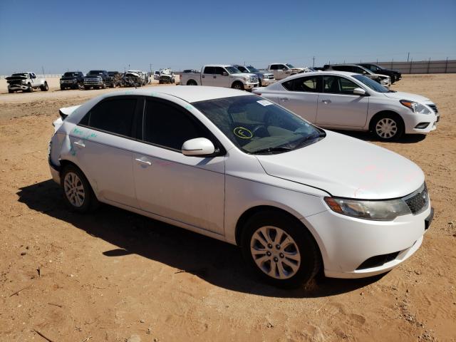 KIA FORTE EX 2012 knafu4a27c5475770