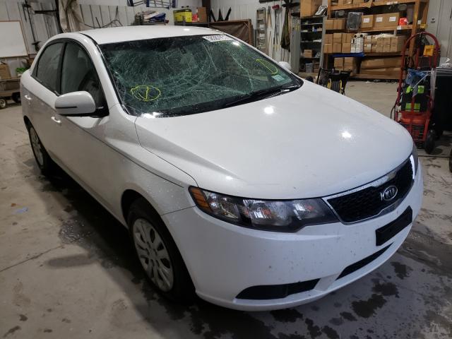 KIA FORTE EX 2012 knafu4a27c5477406