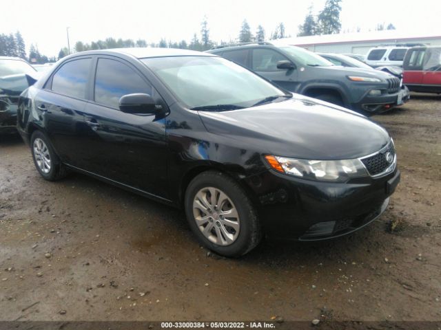 KIA FORTE 2012 knafu4a27c5479124