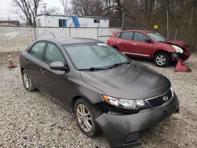 KIA FORTE EX 2012 knafu4a27c5499132