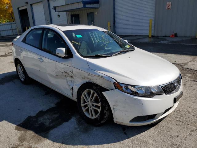 KIA FORTE EX 2012 knafu4a27c5499776