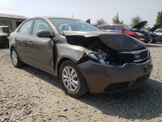 KIA FORTE EX 2012 knafu4a27c5506743