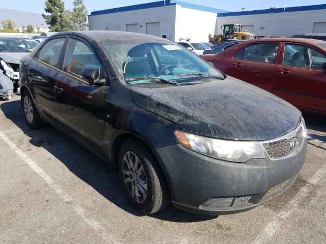 KIA FORTE EX 2012 knafu4a27c5519394