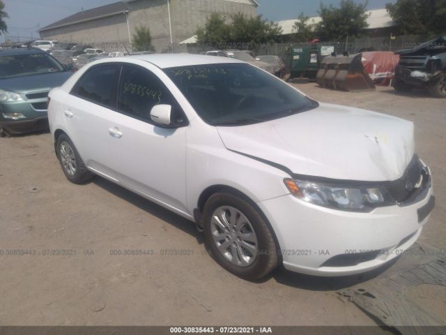 KIA FORTE 2012 knafu4a27c5544263