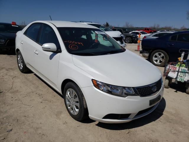 KIA FORTE EX 2012 knafu4a27c5555179