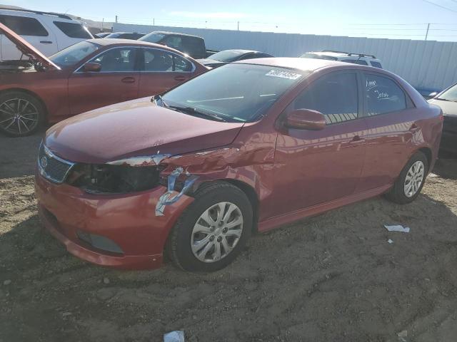 KIA FORTE 2012 knafu4a27c5584472