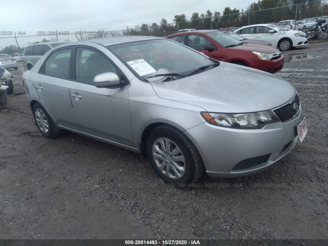 KIA FORTE 2012 knafu4a27c5624226