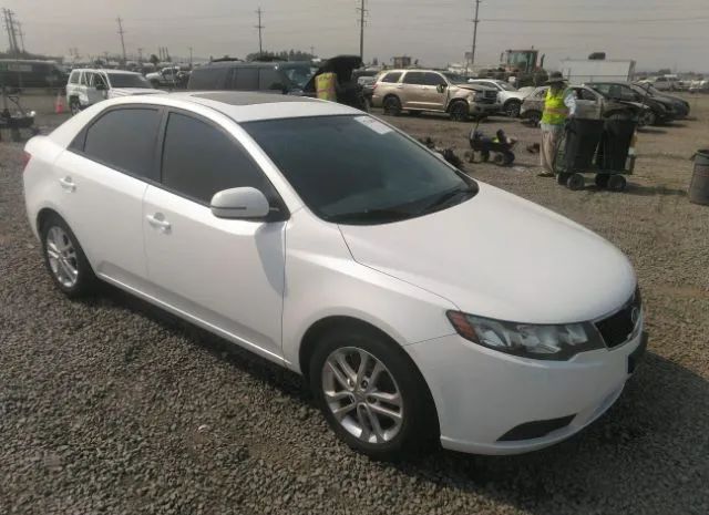 KIA FORTE 2012 knafu4a27c5632665